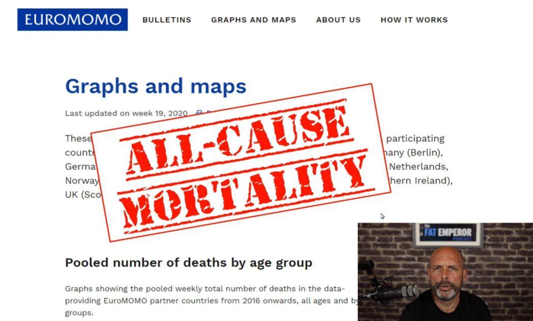 NOT What You May Think - Viral Mortality Comparison 2018 vs 2020